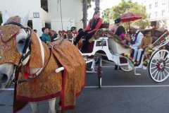 Indian horse & carriage