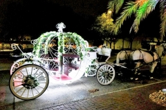 Cinderella waiting for the bride