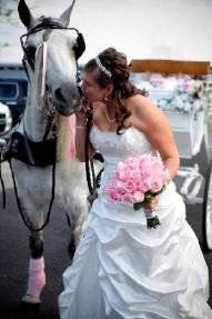 wedding-horse-carriage1